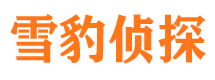 平顶山市婚姻调查